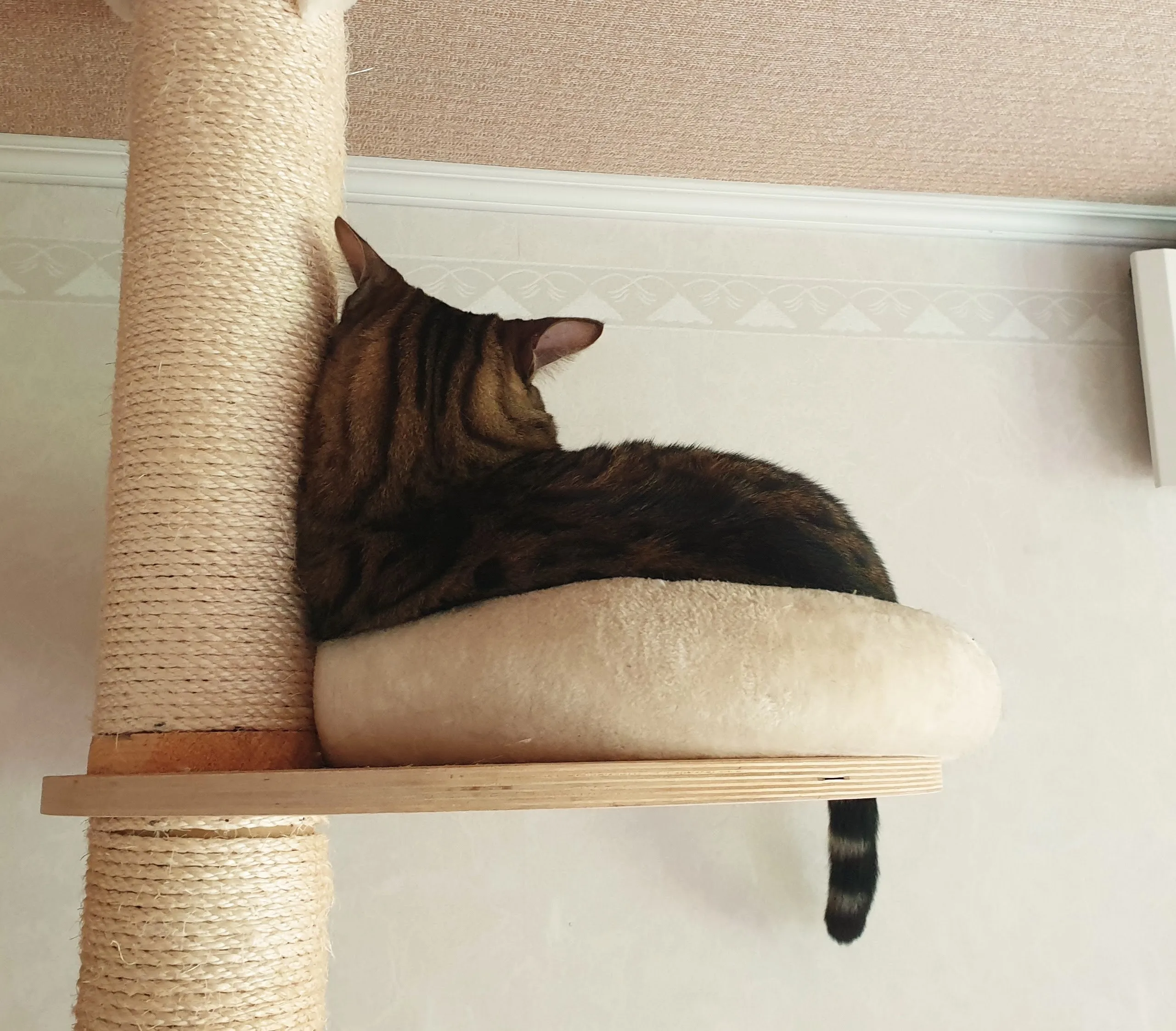 Niskaan sattuu kun katseleekin