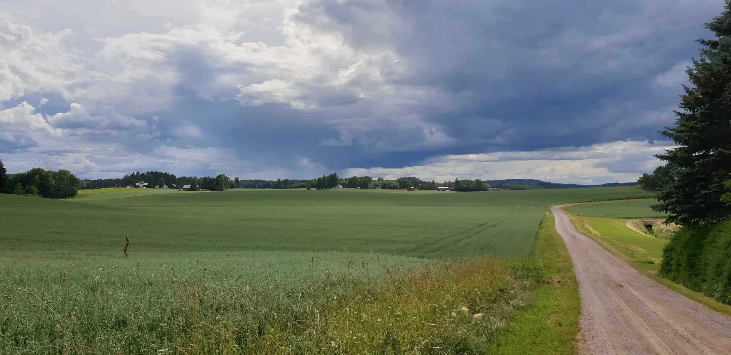 Myrskypilviä naapurissa