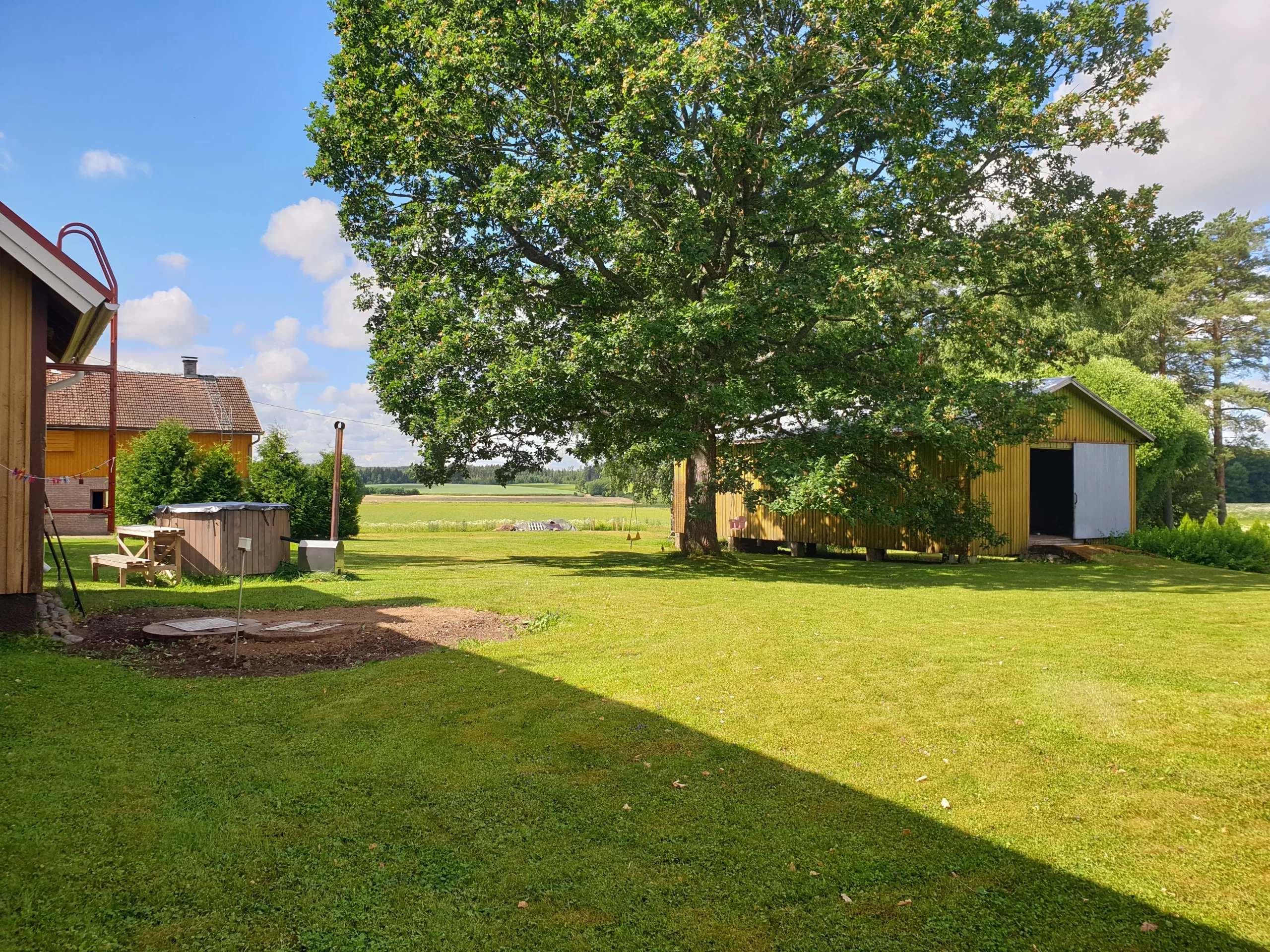 Pihan toiseksi upein tammi, lato, palju ja tuleva lastenpiha