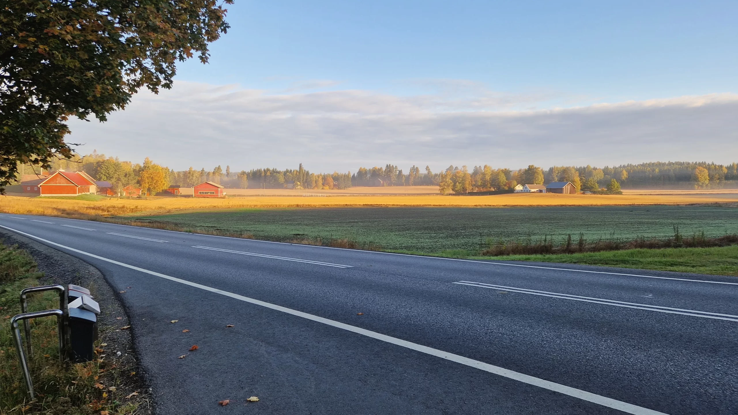 Aamu-usva pellon yllä