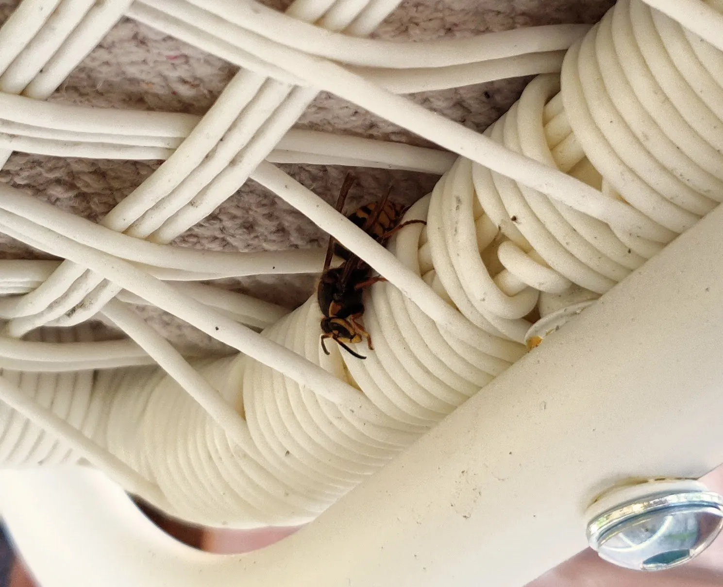 Salamurhaaja-amppari puutarhatuolin alla