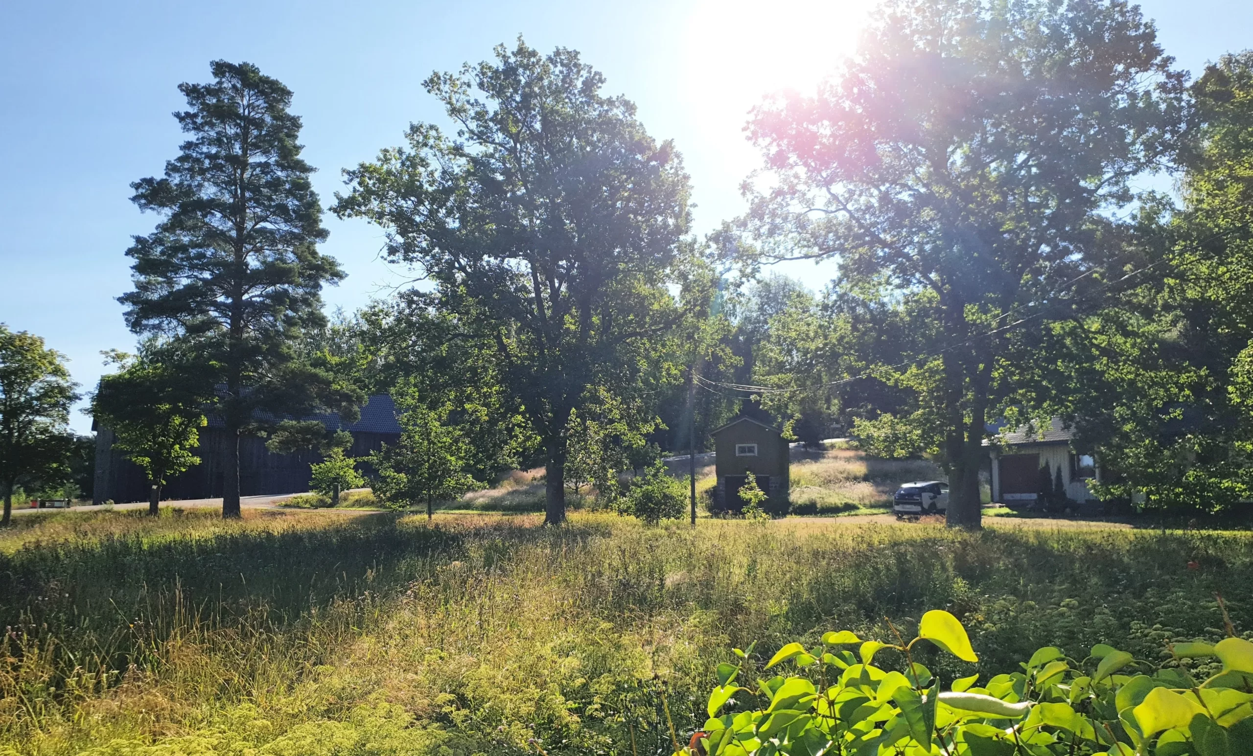 Auringonnousu, heinäkuu