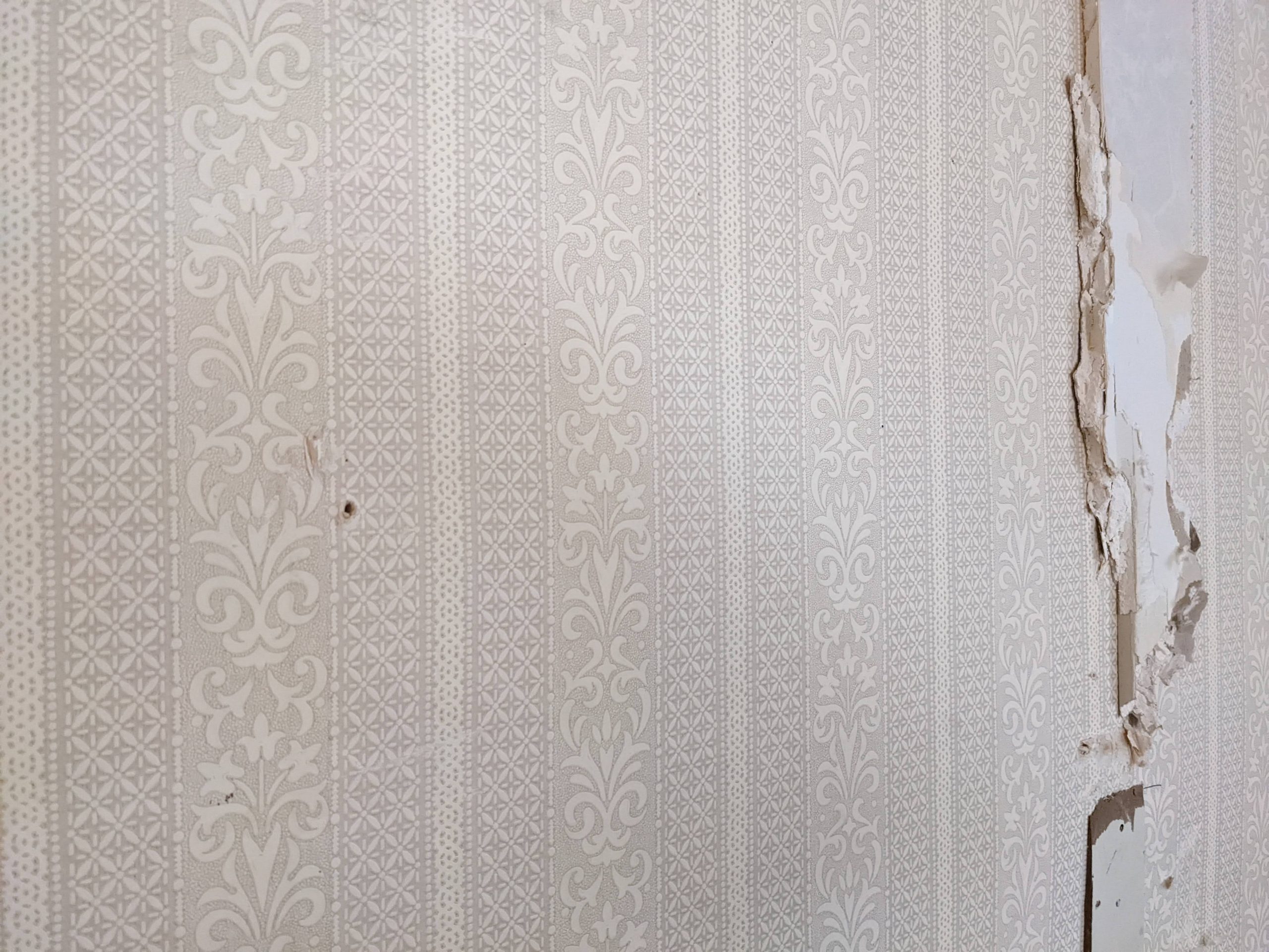 Olohuoneen kipsilevyn alla oli aarre