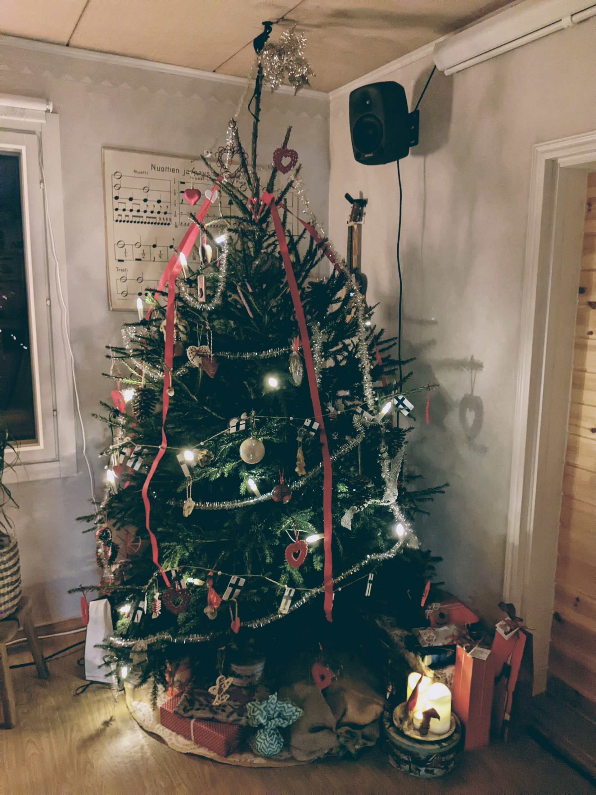 Ihka oikea joulukuusi