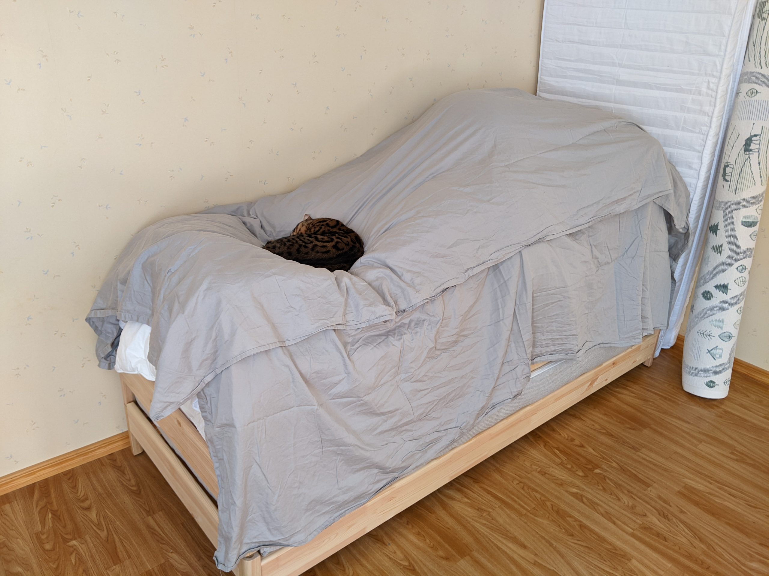 Sauron lastenhuoneessa