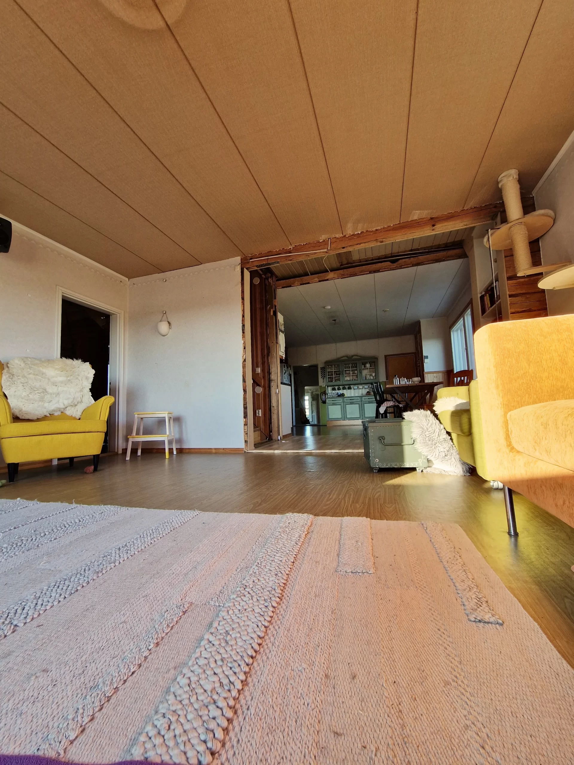 Kattojen viimeinen aamu