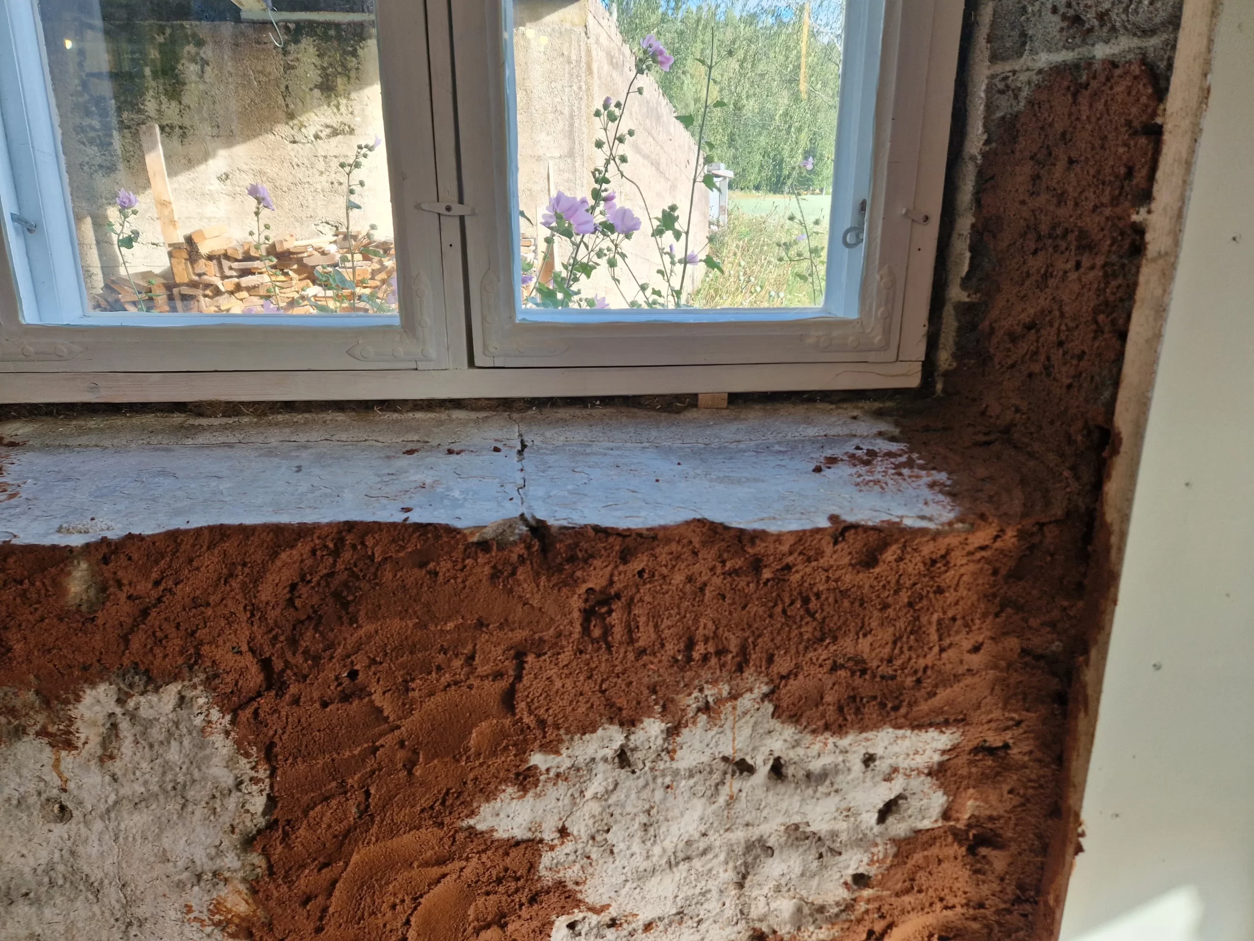 Saven kanssa harjoittelua