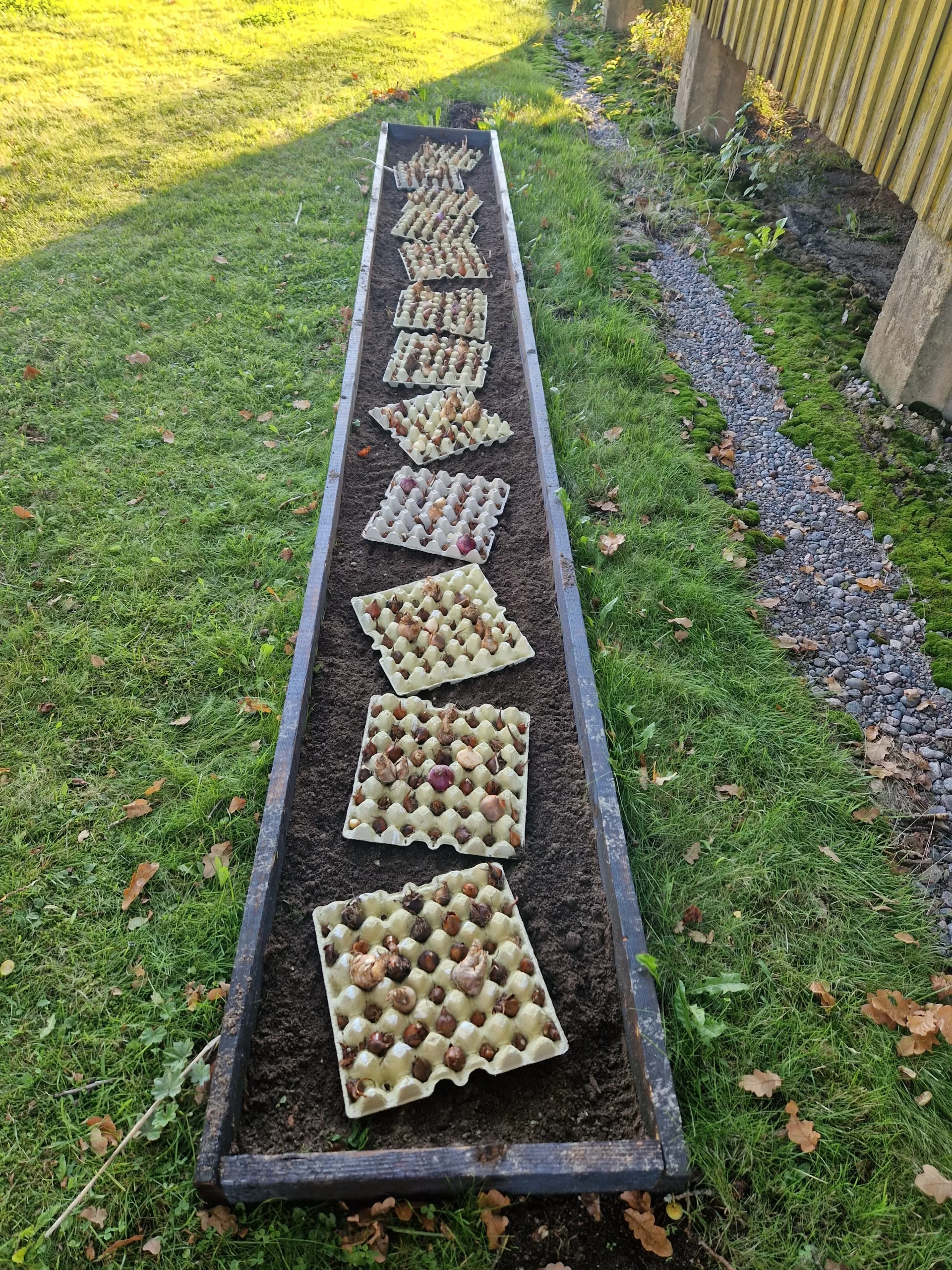 Sipulit ja pihan siivousta