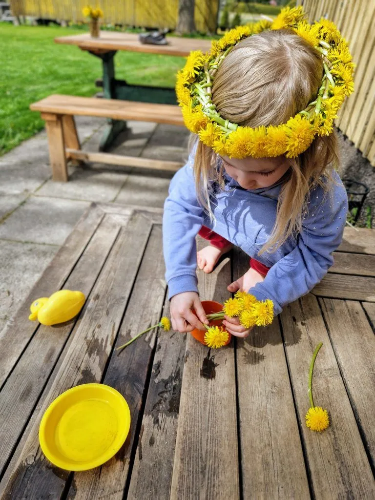 Keltaista kesänalkua